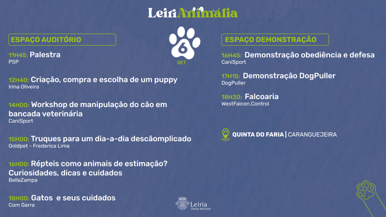 Programação dia 6 - SÁBADO