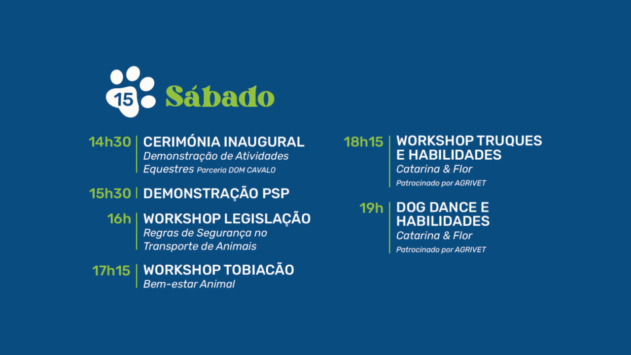 Programação dia 15 - SÁBADO