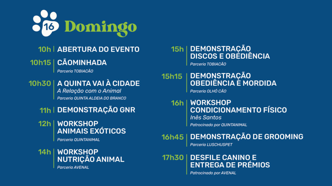 Programação dia 16 - DOMINGO
