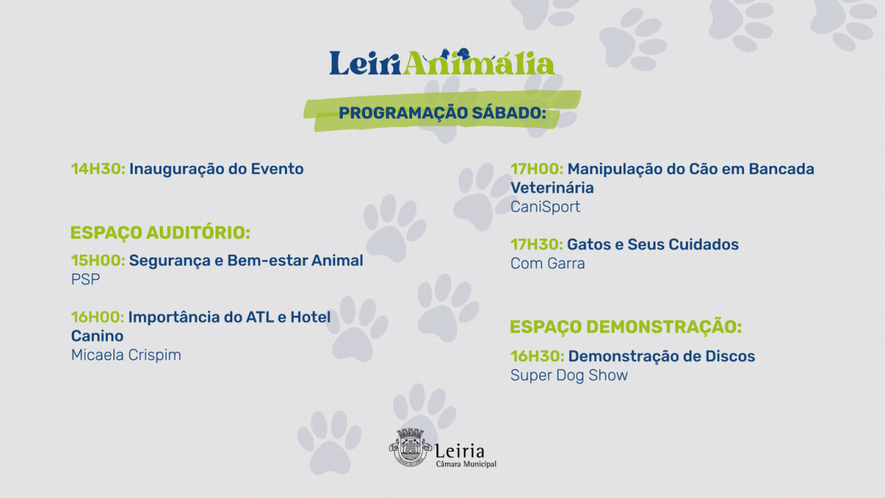 Programação dia 19 - SÁBADO