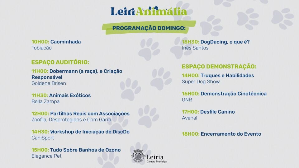 Programação dia 20 - DOMINGO